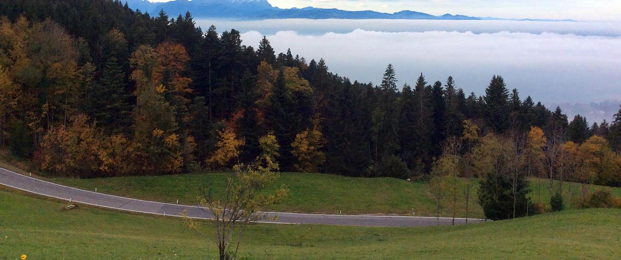 Chalet Eichen-chalet