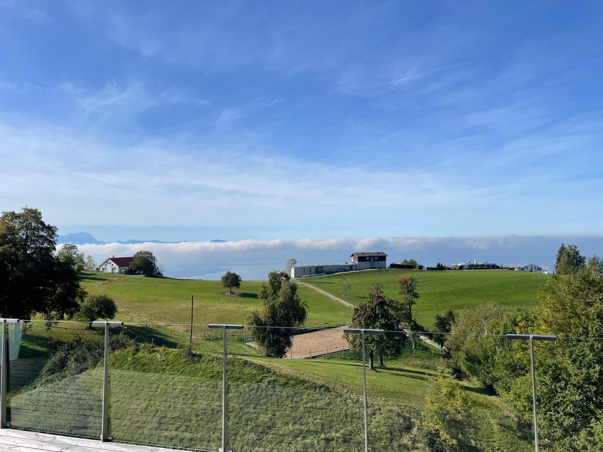 Eichen-chalet *